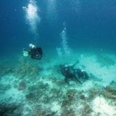 Zwei Taucher suchen am Meeresboden nach archäologischen Funden.